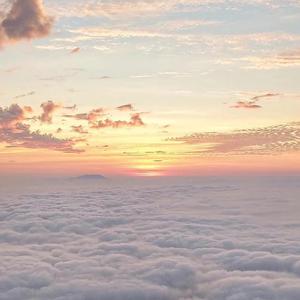 法国伦理成熟老妇女做爰
